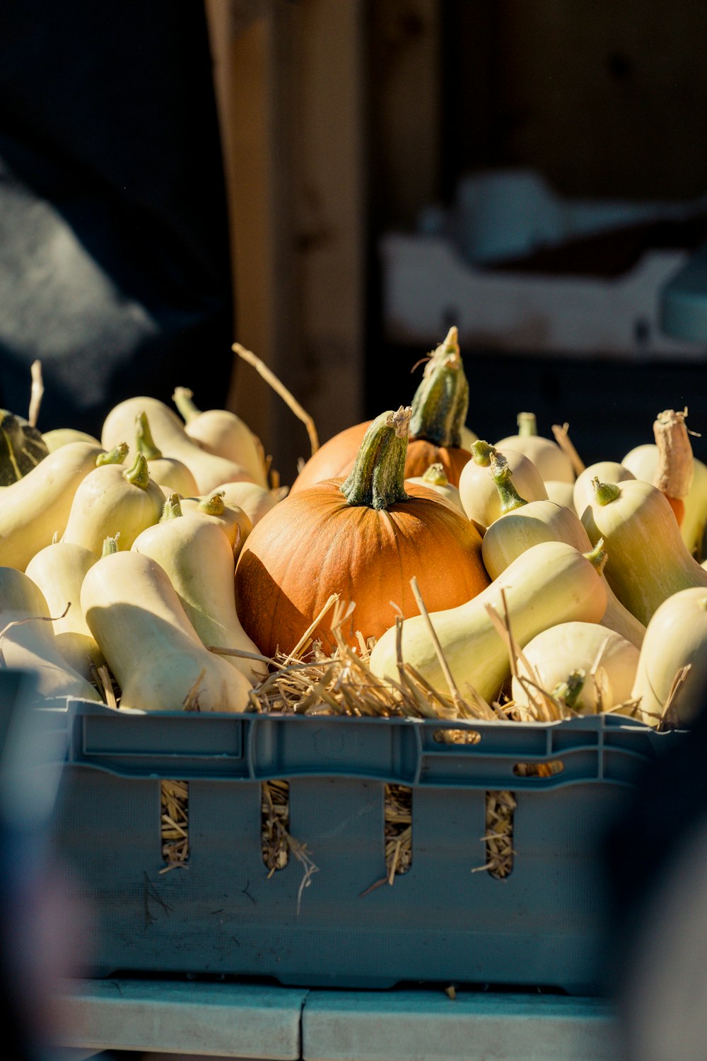 a basket of vegetables