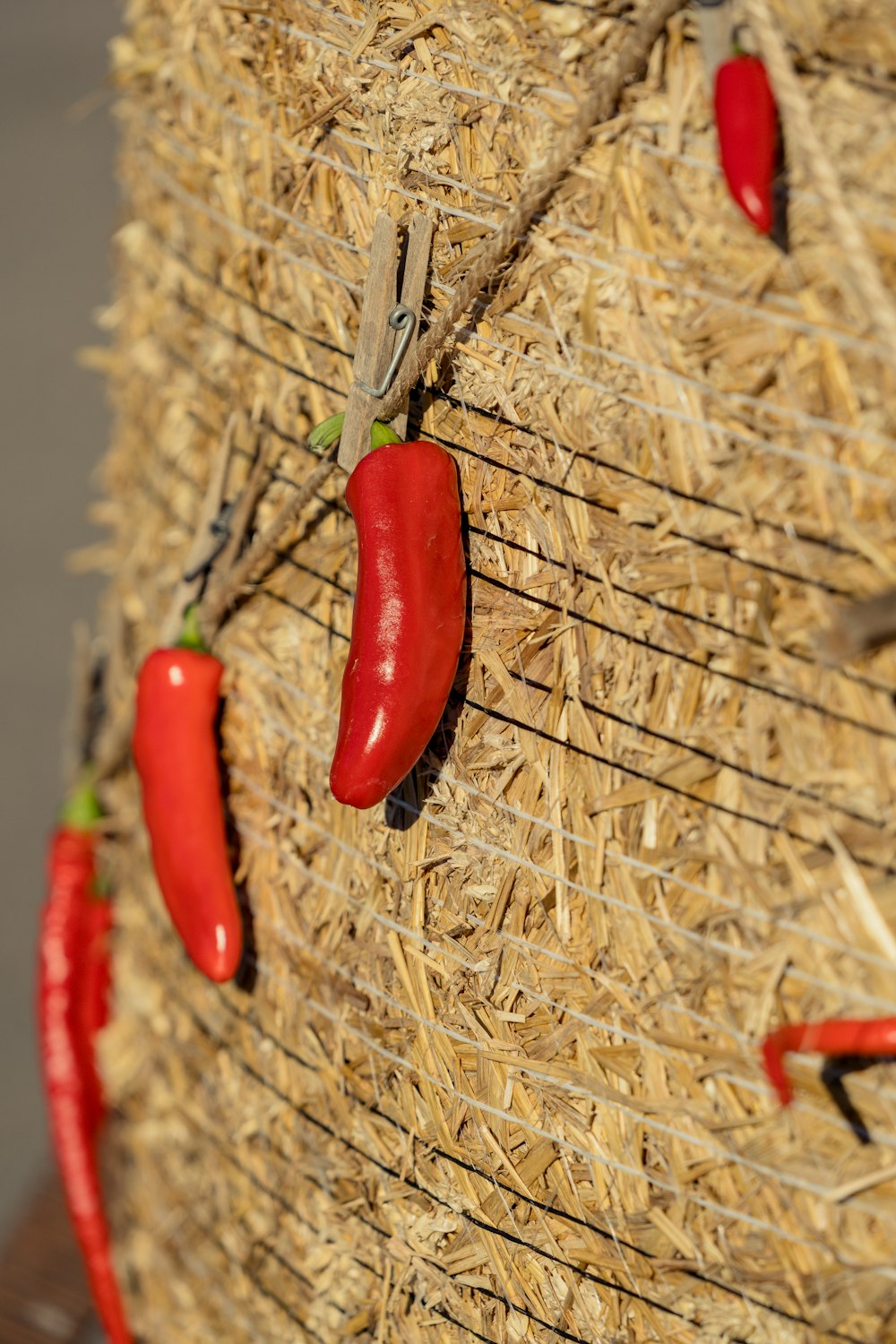 a group of red peppers