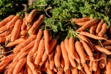 A large pile of fresh carrots with green tops, arranged closely together. The carrots vary in size and have a vibrant orange color, complemented by the green leaves, creating a natural and earthy look.