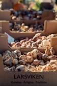Boxes filled with garlic bulbs displayed in a market setting. The boxes are labeled with the name 'Larsviken' and positioned outdoors, suggesting a fresh and organic environment. Sunlight casts soft shadows over the earthy tones of the garlic.