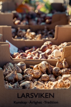 Boxes filled with garlic bulbs displayed in a market setting. The boxes are labeled with the name 'Larsviken' and positioned outdoors, suggesting a fresh and organic environment. Sunlight casts soft shadows over the earthy tones of the garlic.