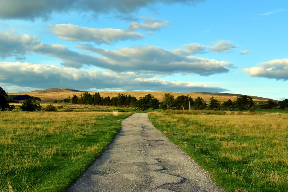 a road with grass and trees on the side