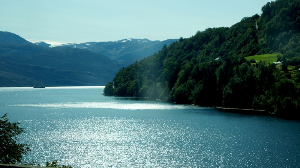 a river with trees on the banks