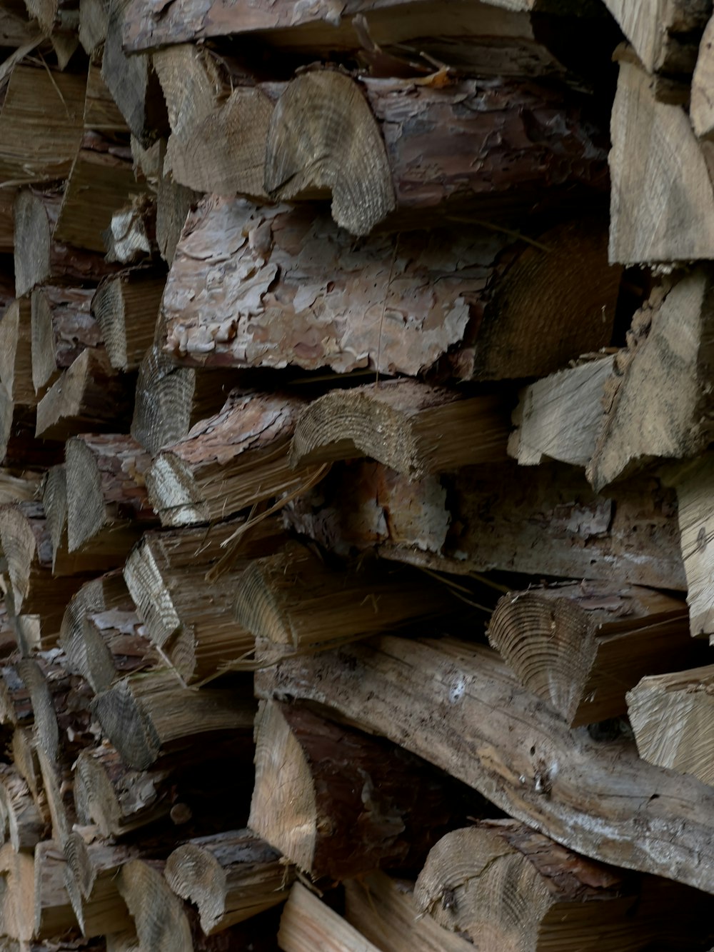 a pile of cut logs