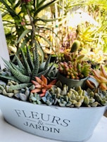 A variety of succulents are neatly arranged in a metal container with the text 'Fleurs & Jardin' printed on it. The background features lush greenery and plants, adding depth and a natural setting to the arrangement.