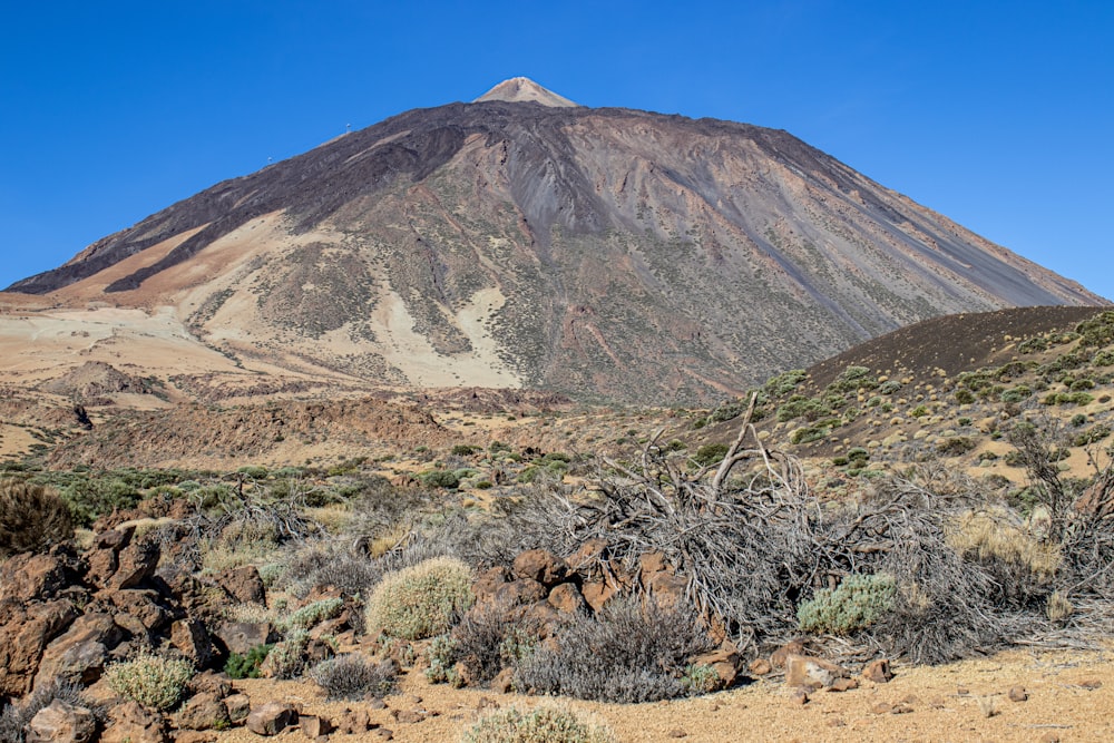 a rocky mountain with a few trees with Teide in the background