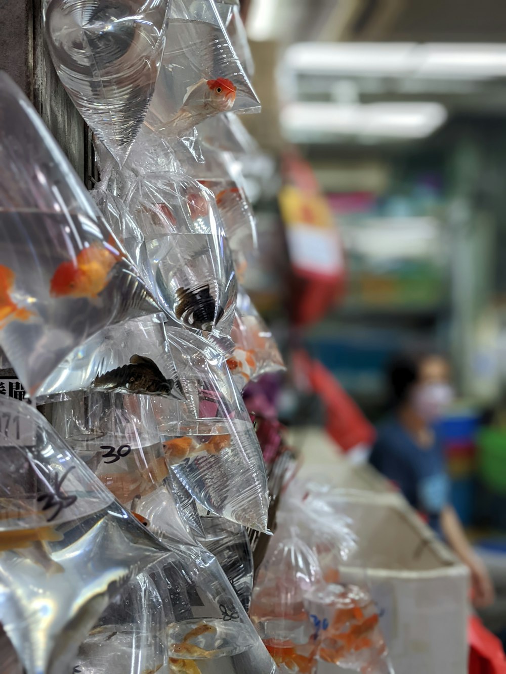 um grupo de sacos de plástico com alimentos dentro