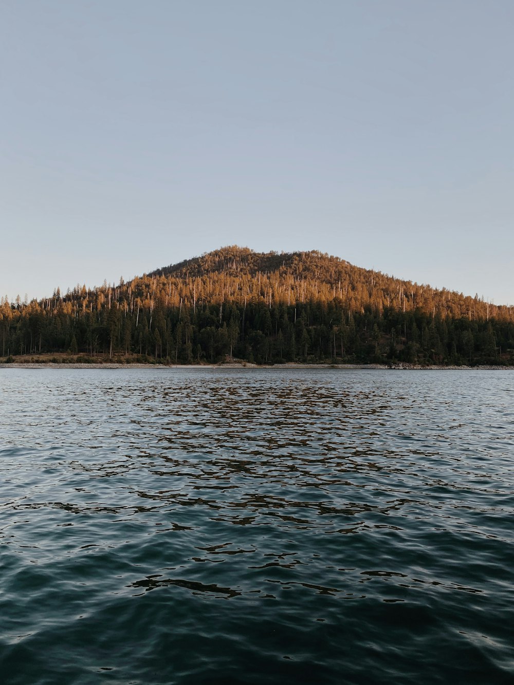 a body of water with trees in the back