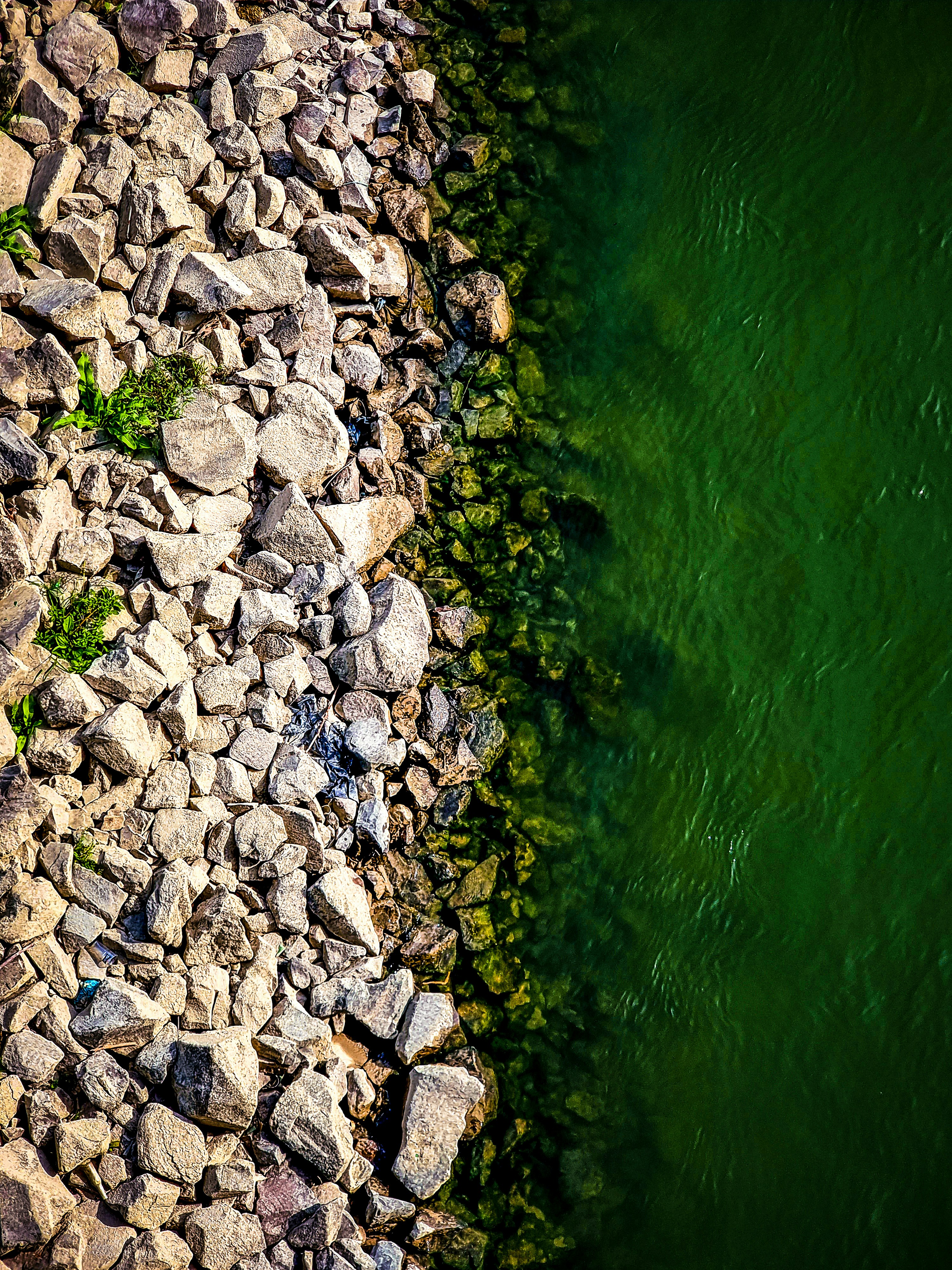 Photo by tharunthejusjp