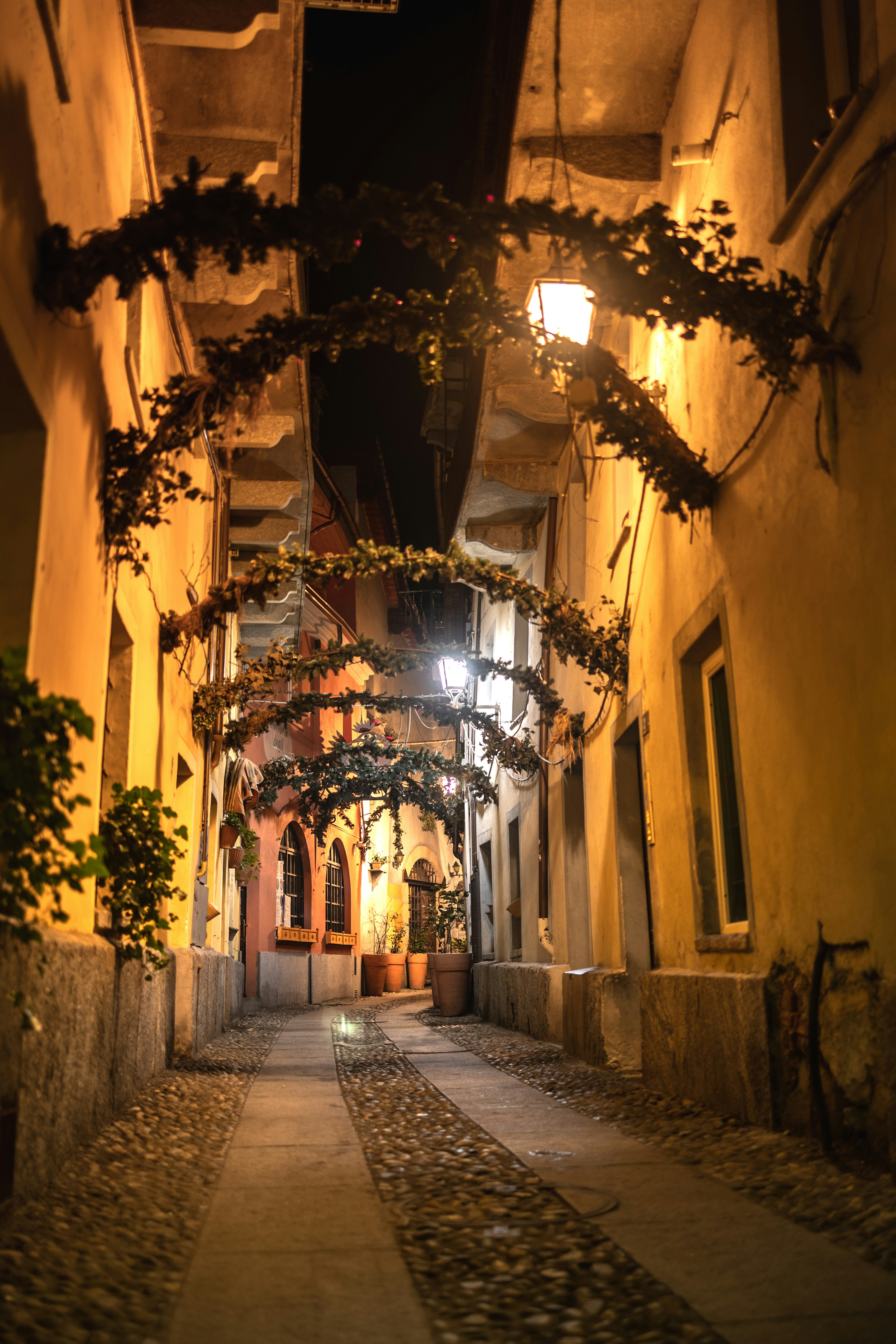 Photo by marekpiwnicki