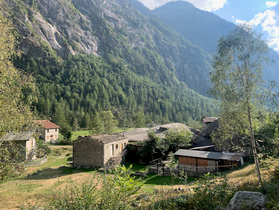 A serene landscape of Chubut's Patagonian steppe with traditional wooden houses under a clear blue sky.
