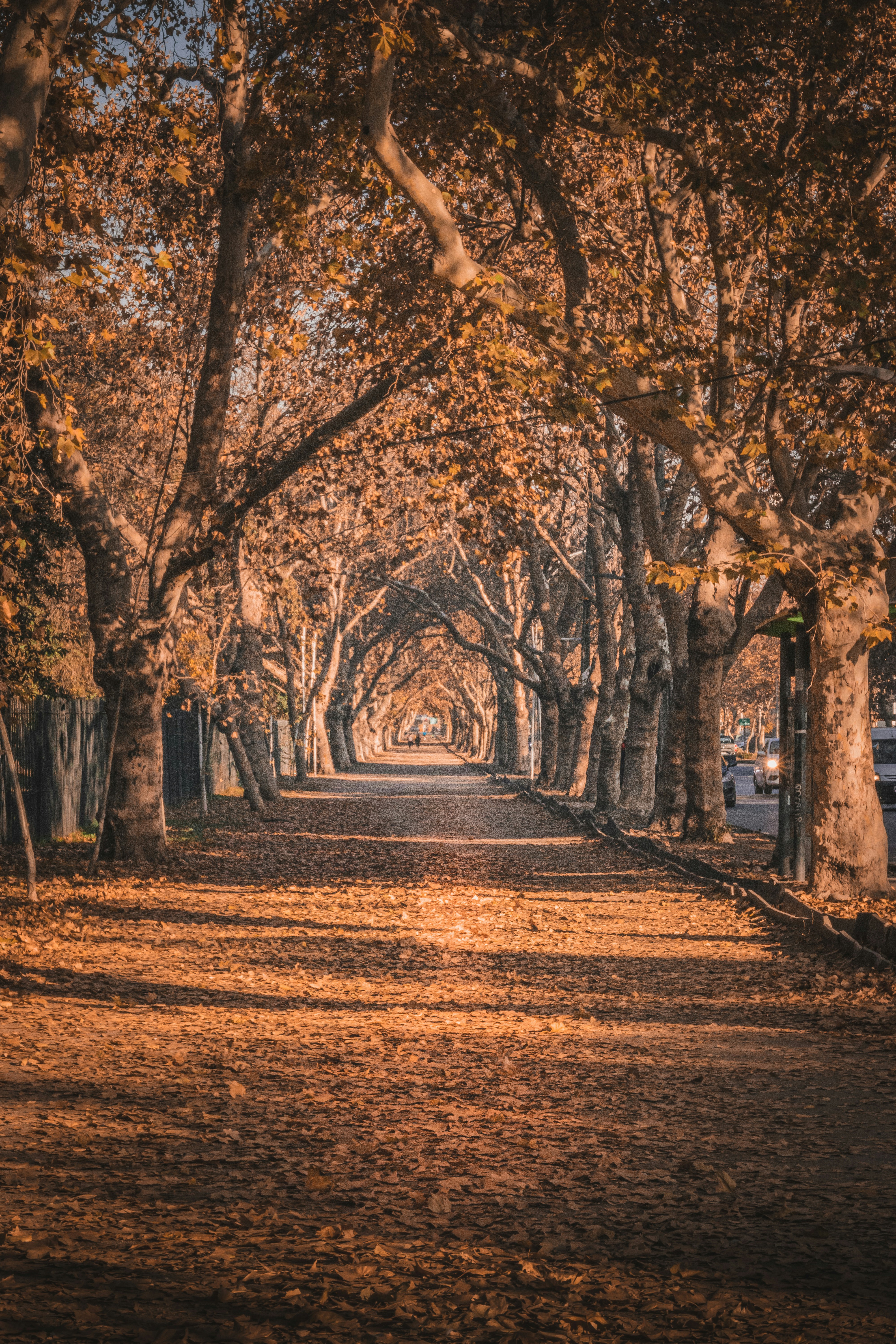 Photo by gustavo0351