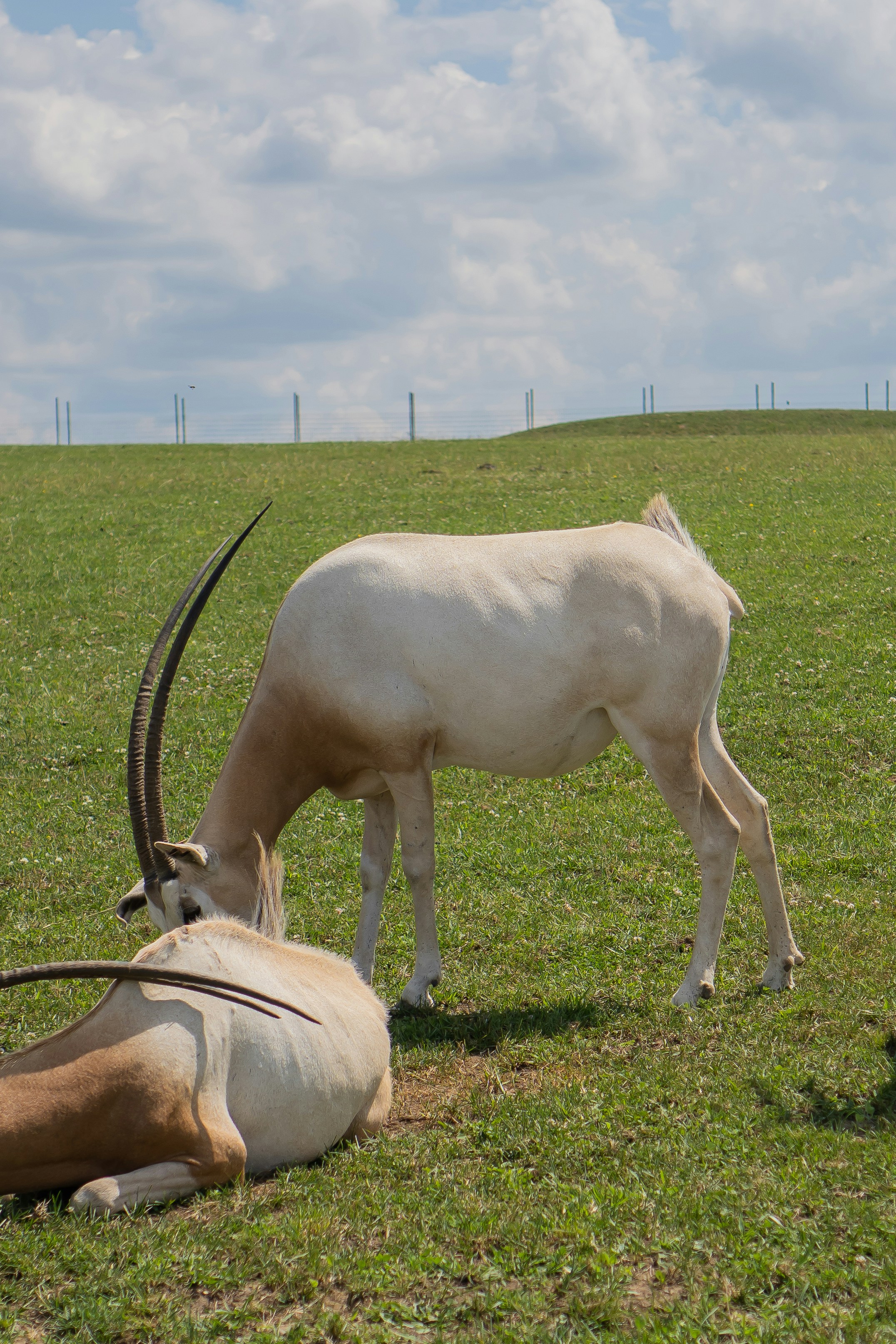 Photo by zhenyao_photo