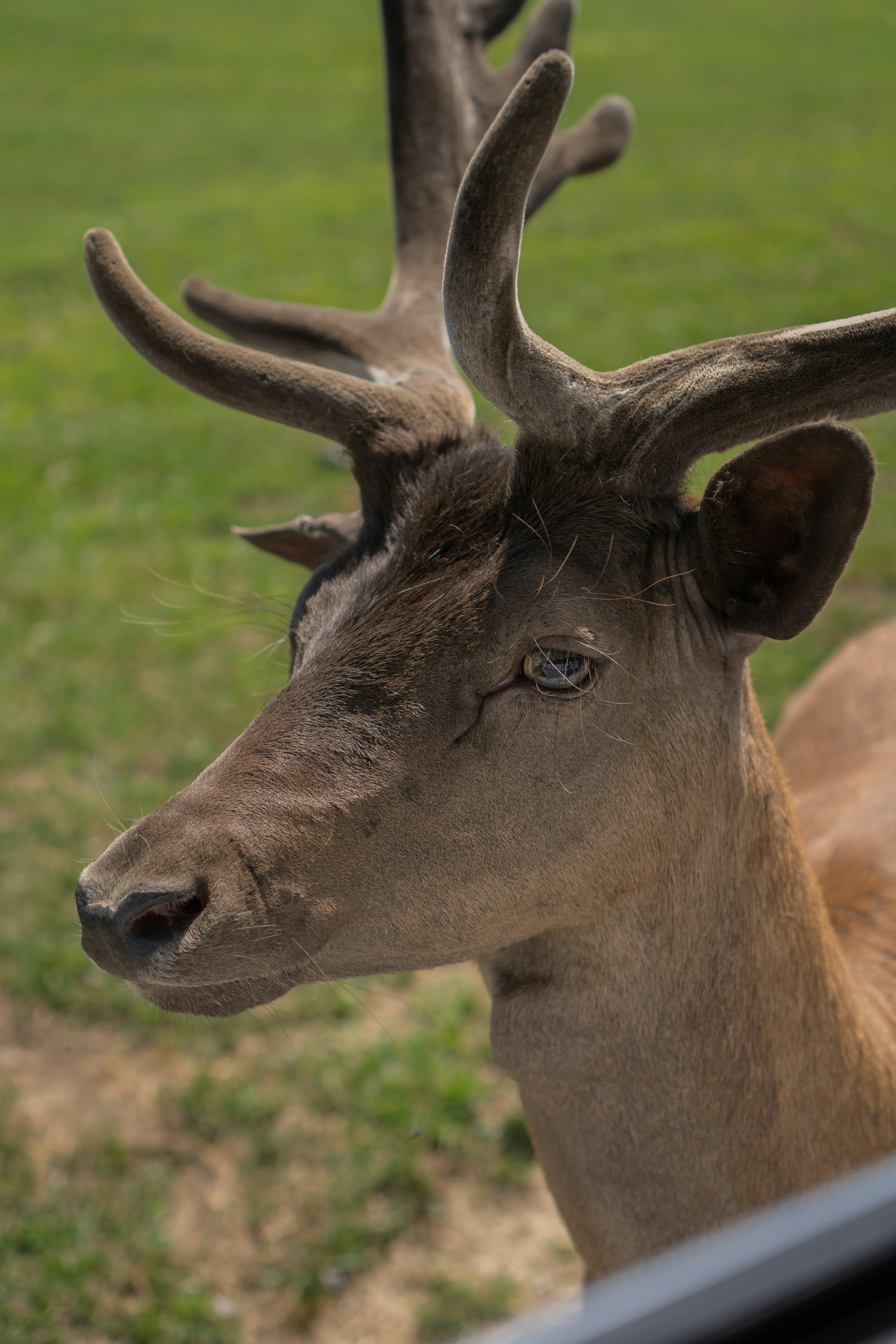 Photo by zhenyao_photo