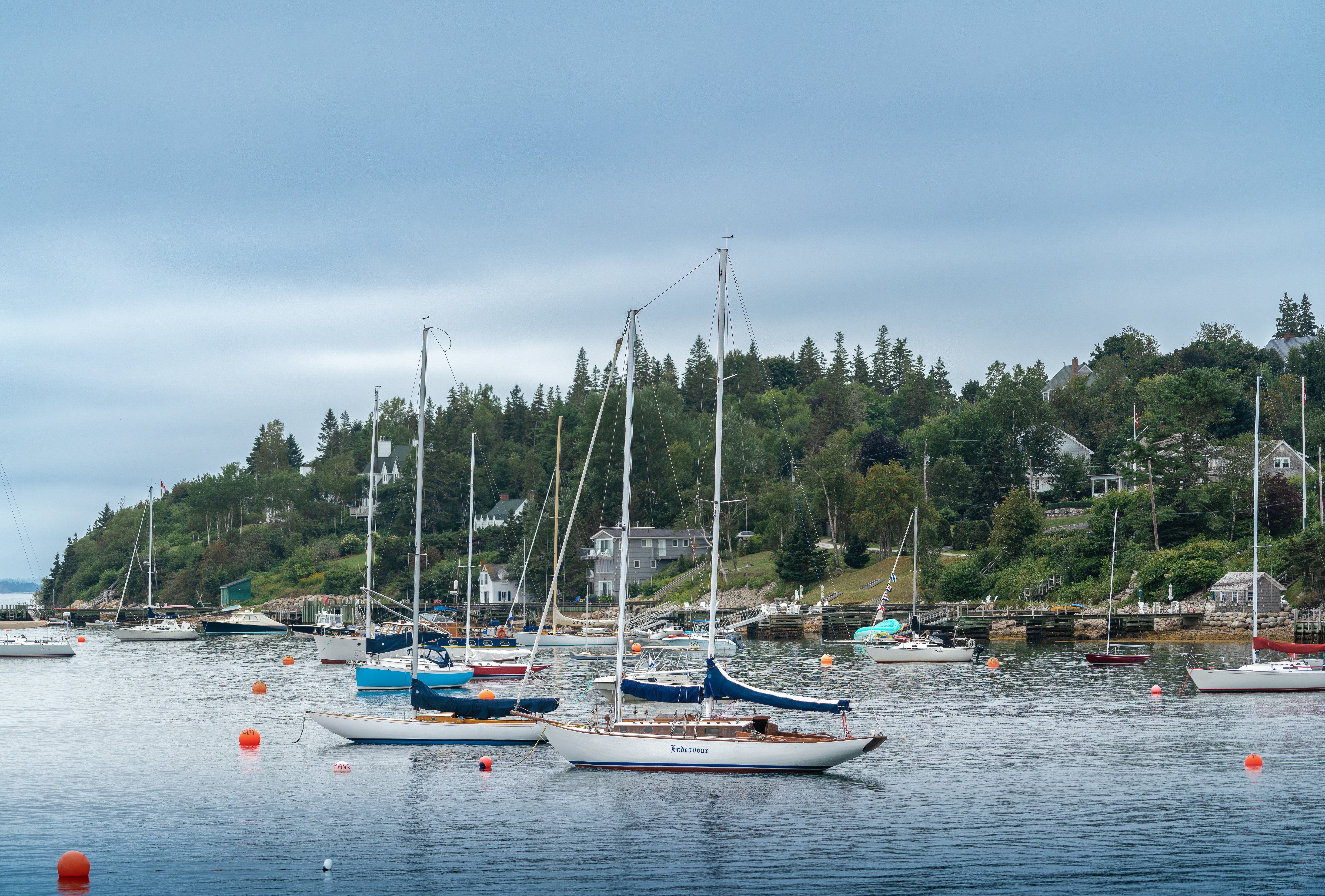 a group of boats sit in a harbor