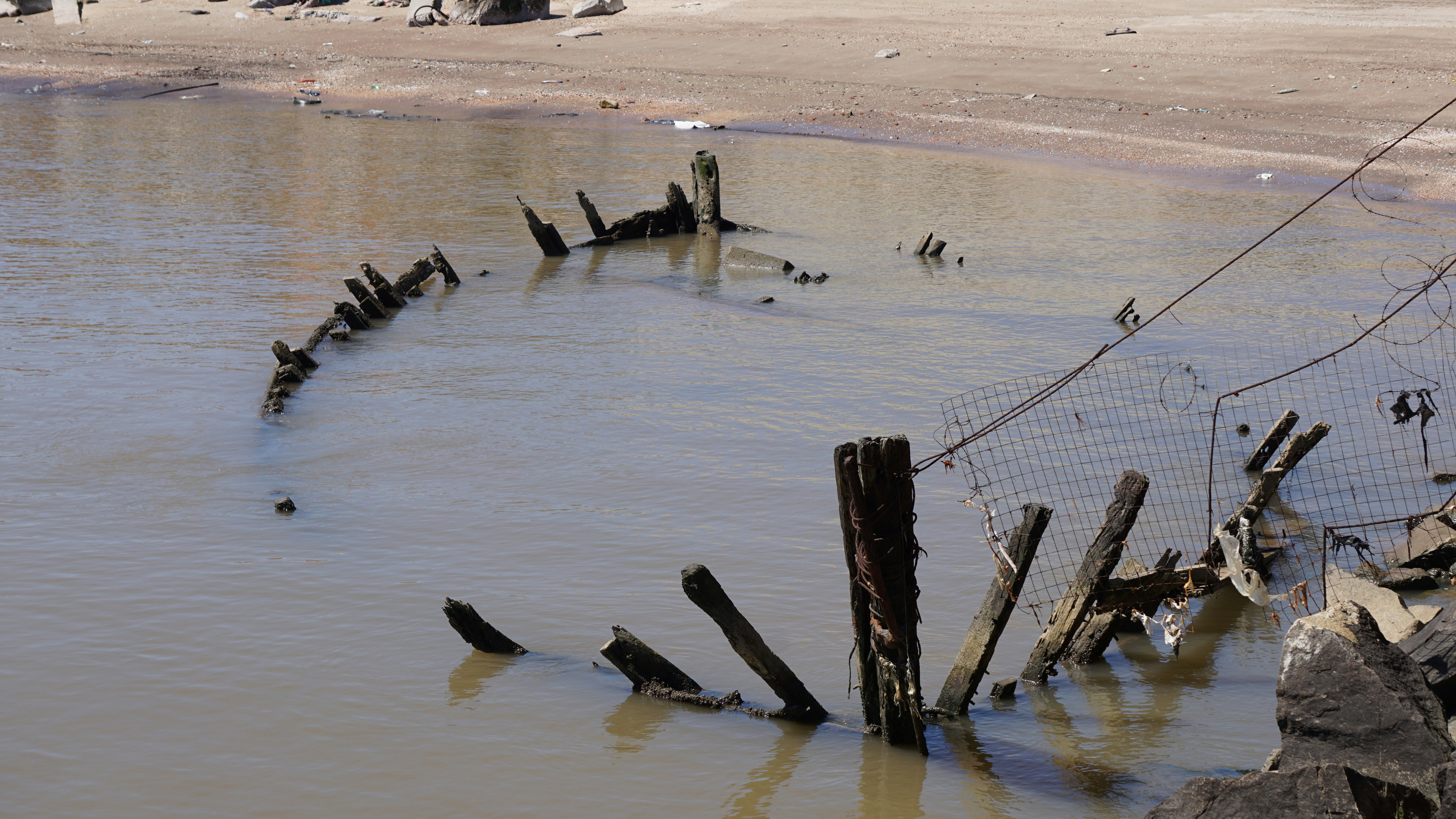 Photo by carlosm3011