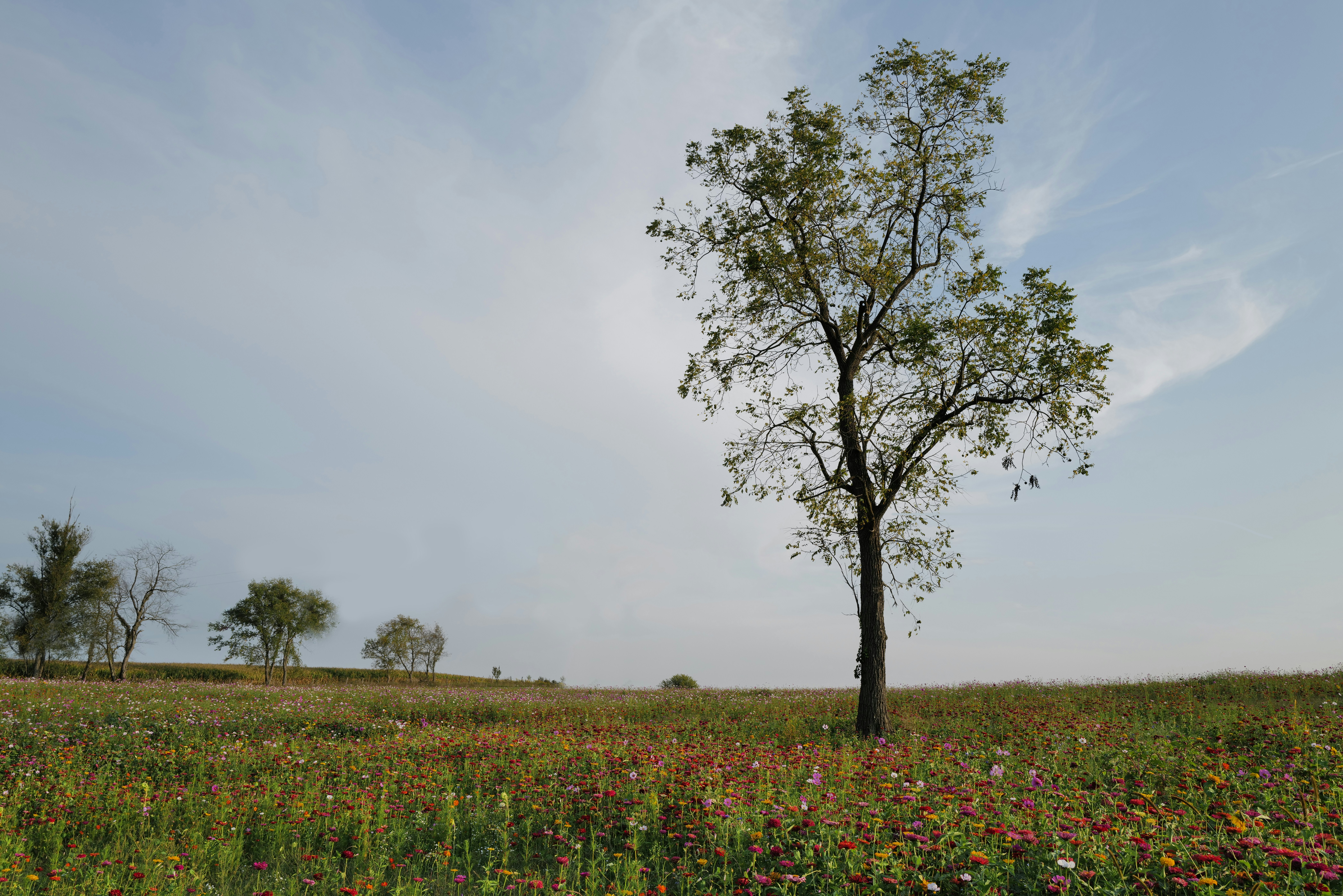 Photo by ryangrewell