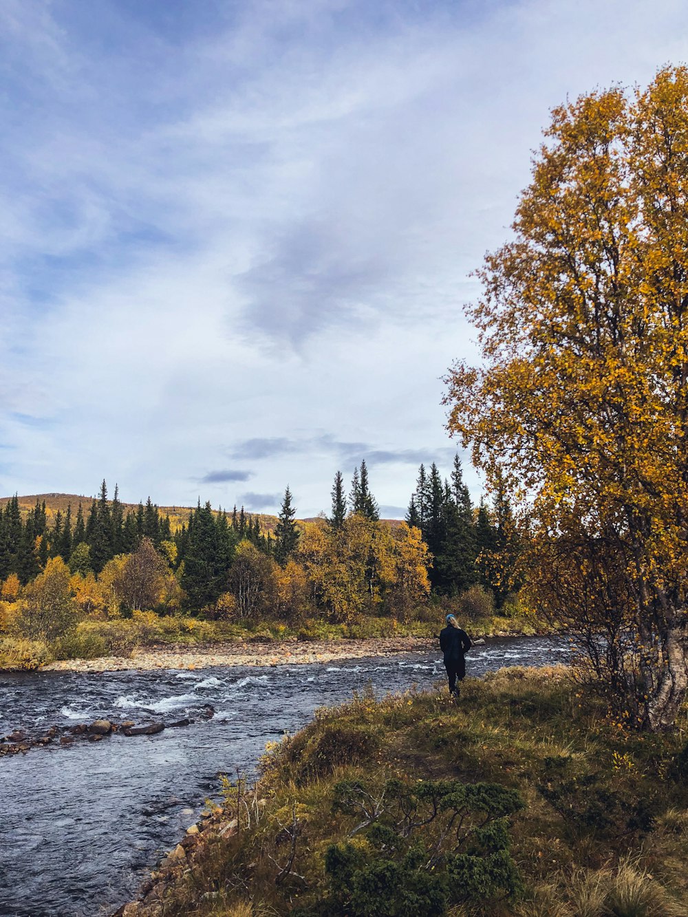 a person standing on a rock in a river with trees on either side