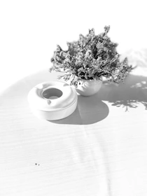 Artfully arranged set of minimalist cannabis leaf-themed ceramic accessories glowing softly under warm light.