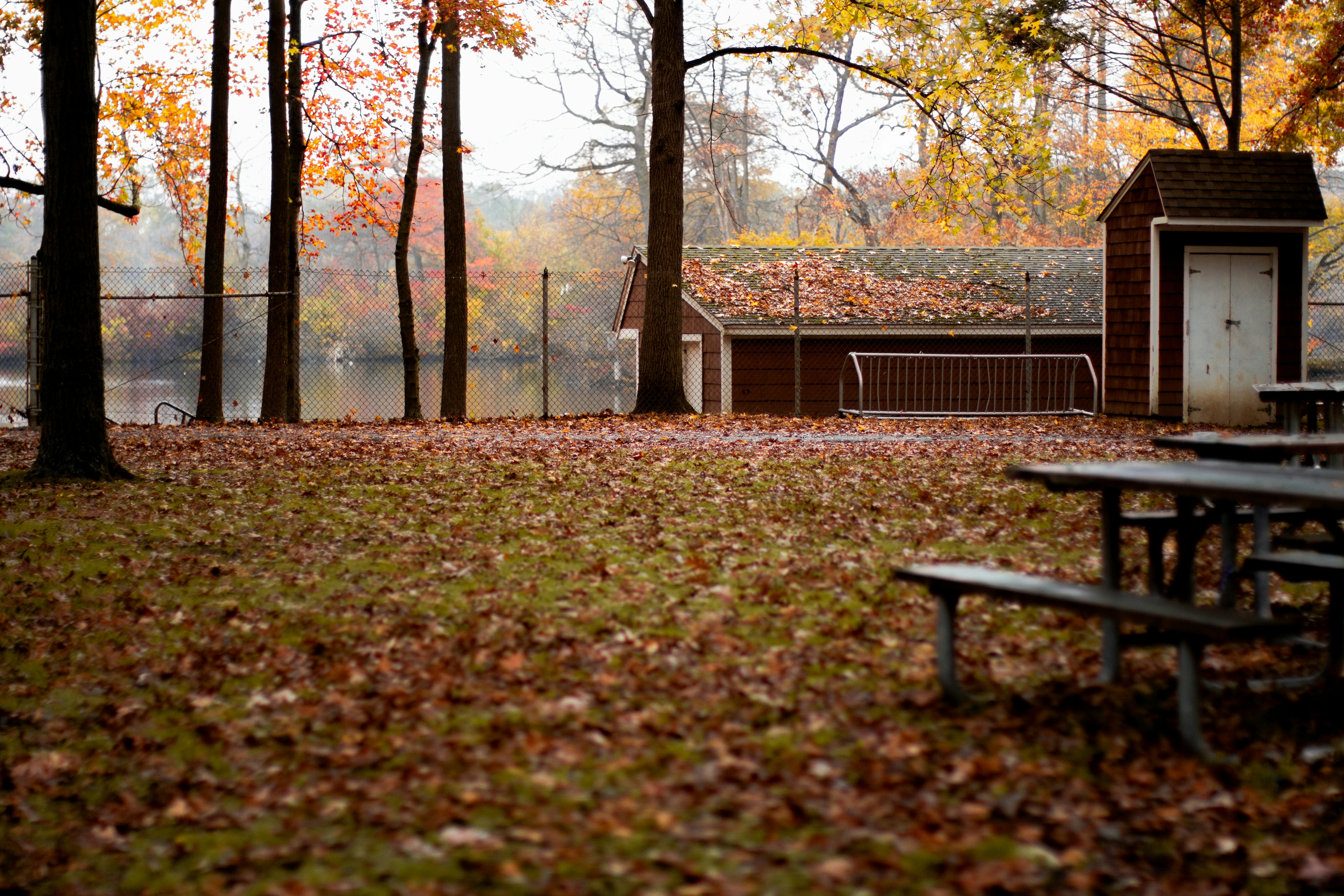 Photo by emmanuelphaeton