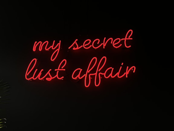 Bright red neon lettering spells out 'my secret lust affair' against a dark background, creating a stark contrast. The script is elegant and cursive, suggesting intimacy and intrigue.