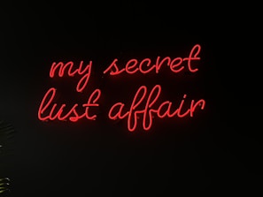 Bright red neon lettering spells out 'my secret lust affair' against a dark background, creating a stark contrast. The script is elegant and cursive, suggesting intimacy and intrigue.