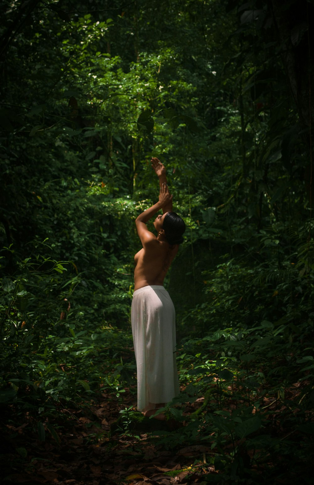 a person standing in a forest