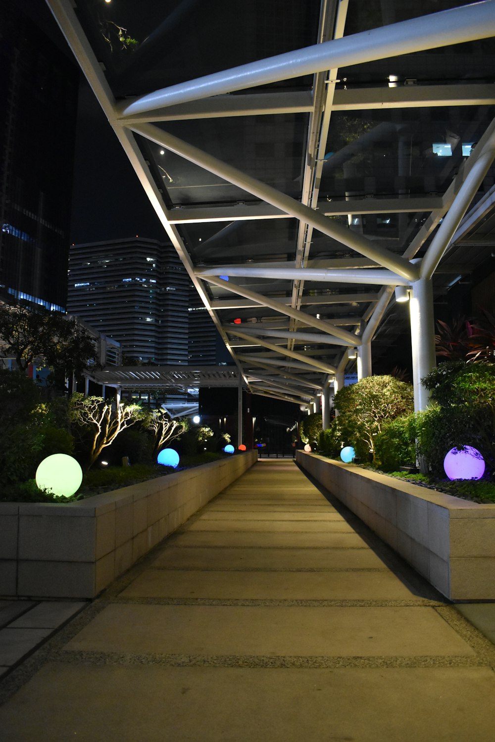 a walkway with plants and trees