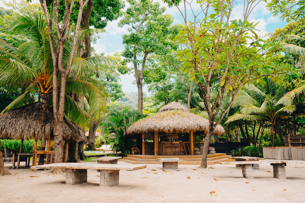 a group of straw umbrellas