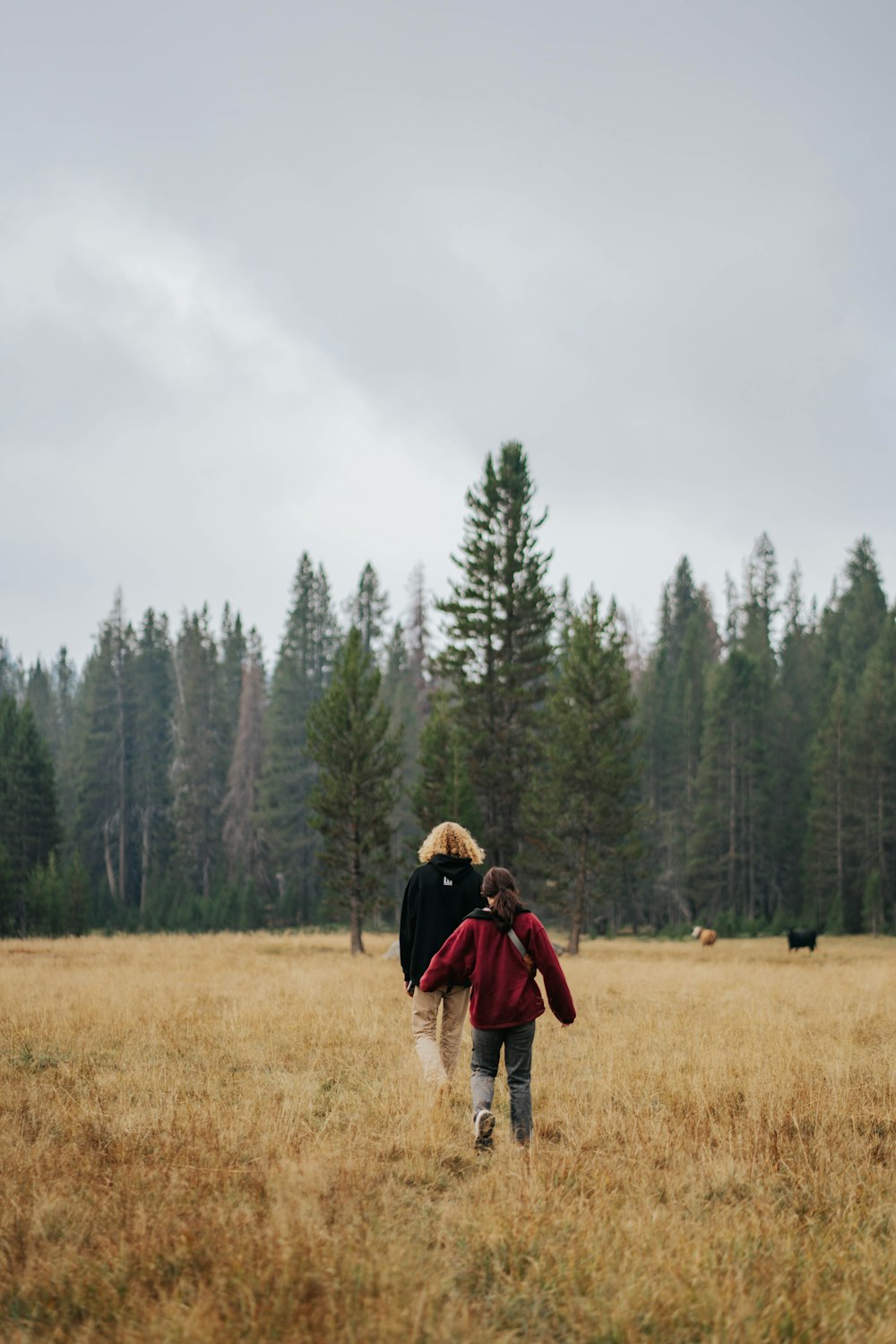 a man and woman walking in a field with trees in the background