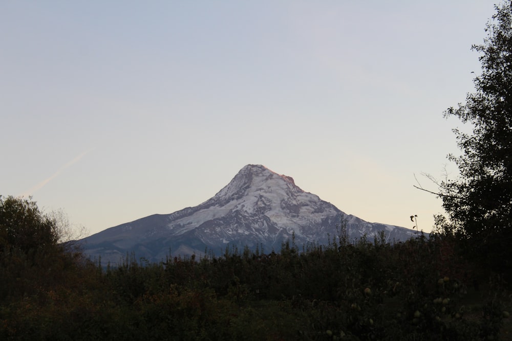 a snowy mountain in the distance