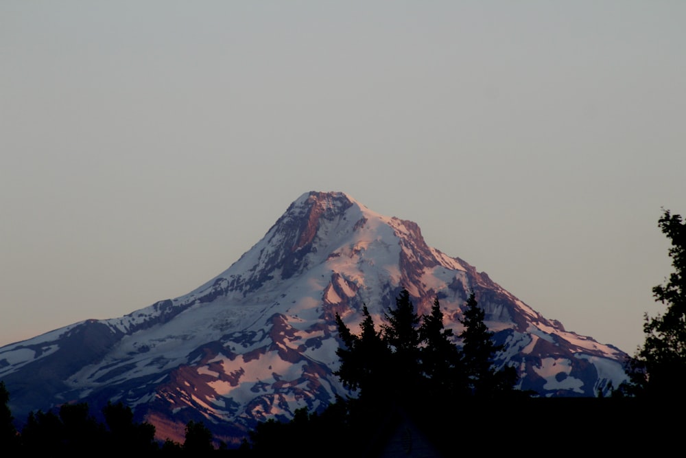 Una montagna innevata con alberi