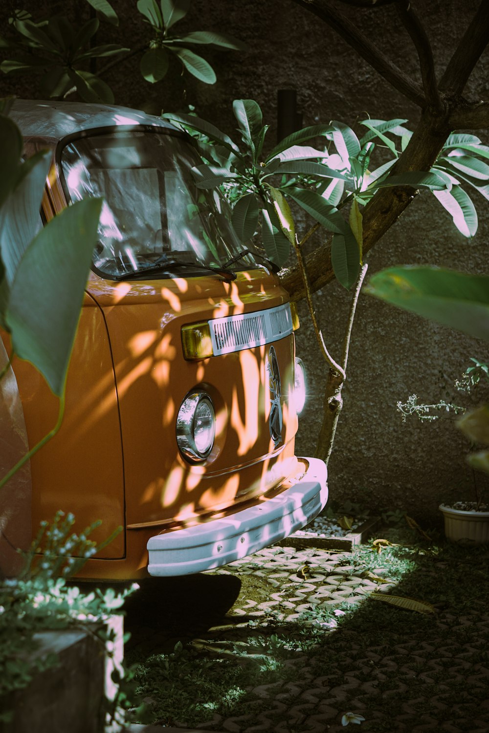 une voiture garée sous un arbre