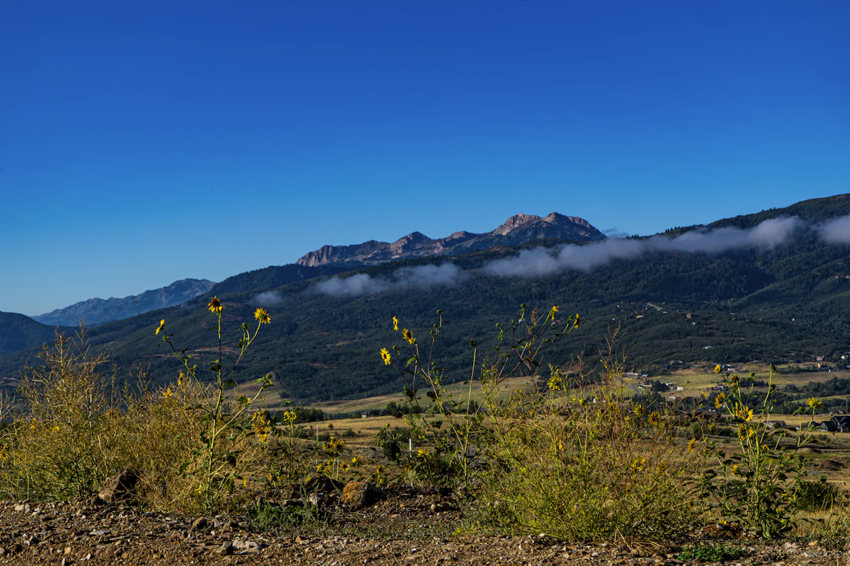 Rocky peaks above a forested ridge and a band of low cloud, seen across dry grass near Huntsville, Utah