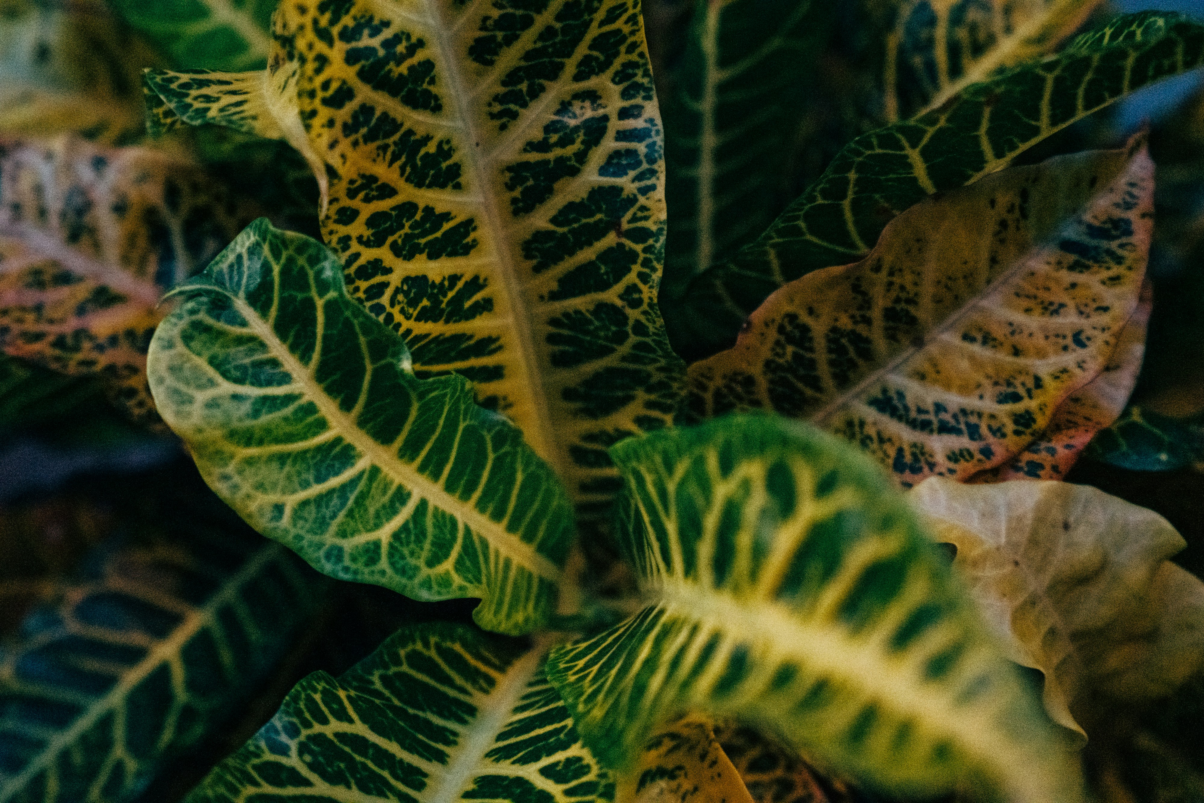 Photo by markuswinkler