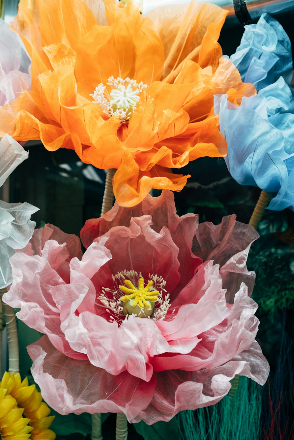 a group of colorful flowers