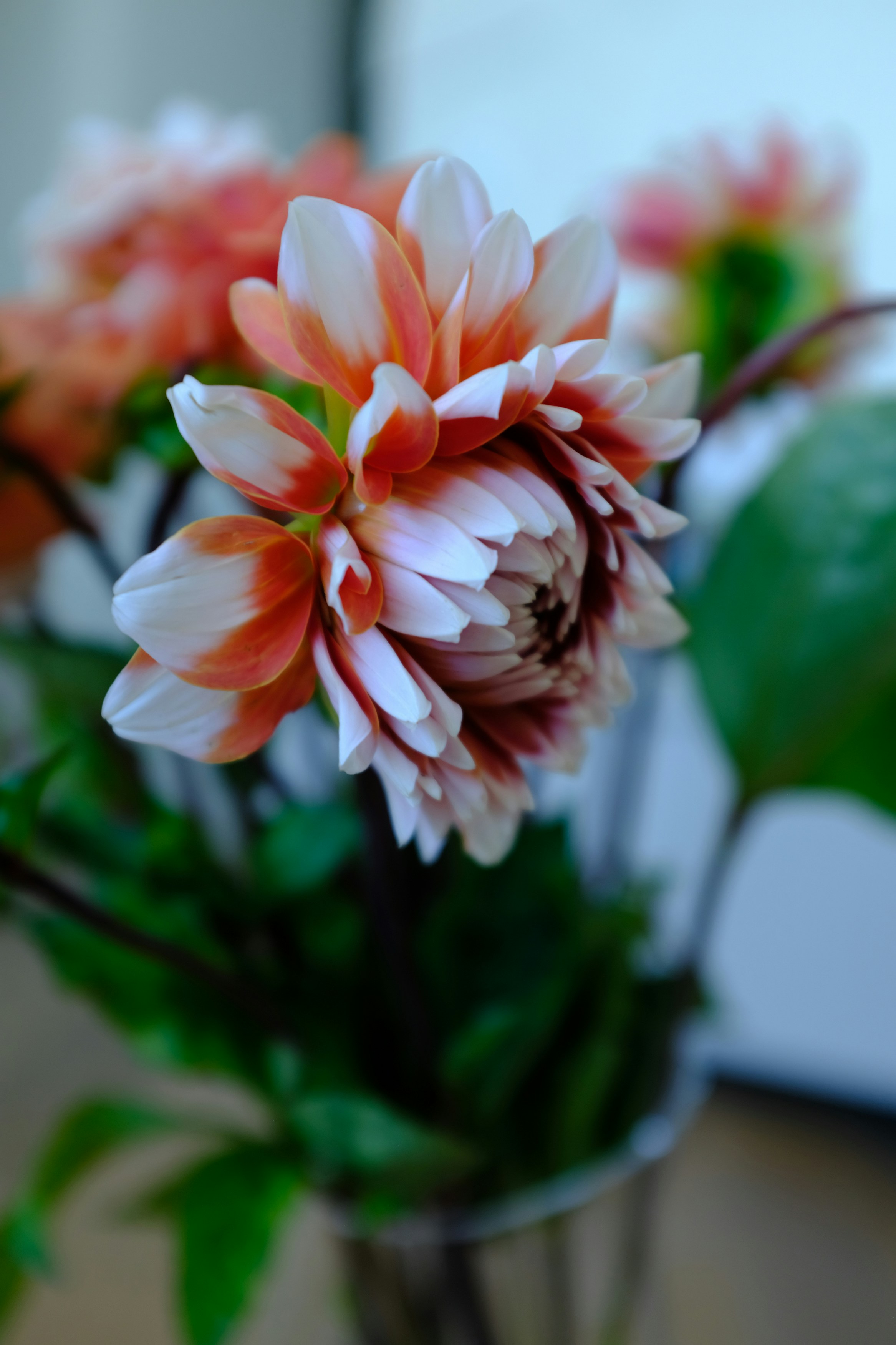 Photo by divyshankar