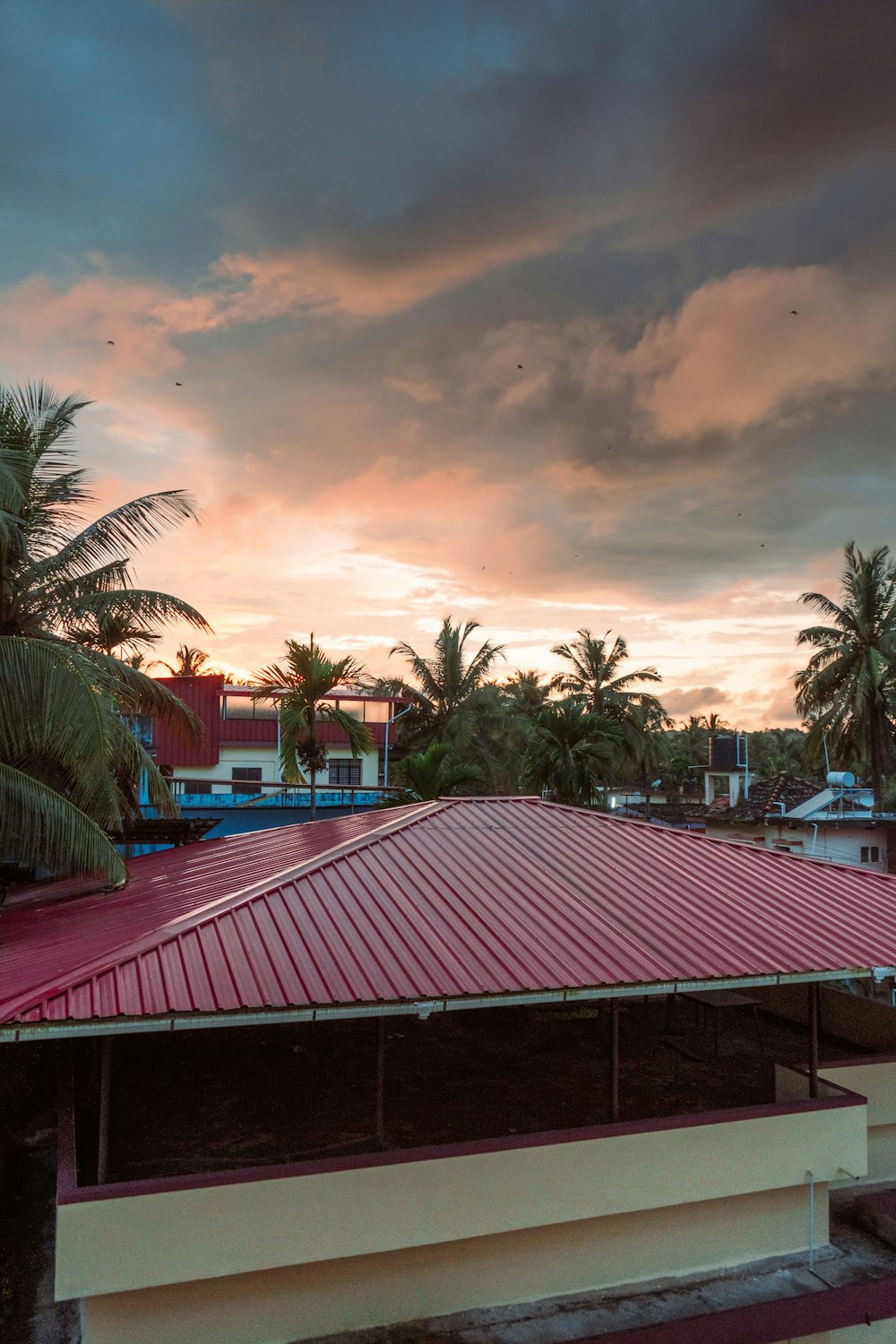 eine Dachterrasse mit Palmen und einem Sonnenuntergang im Hintergrund