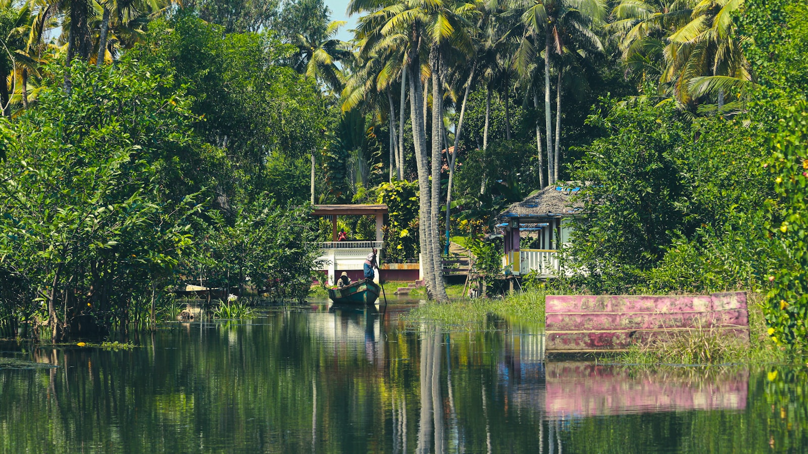 Kerala backwaters houseboat Alleppey