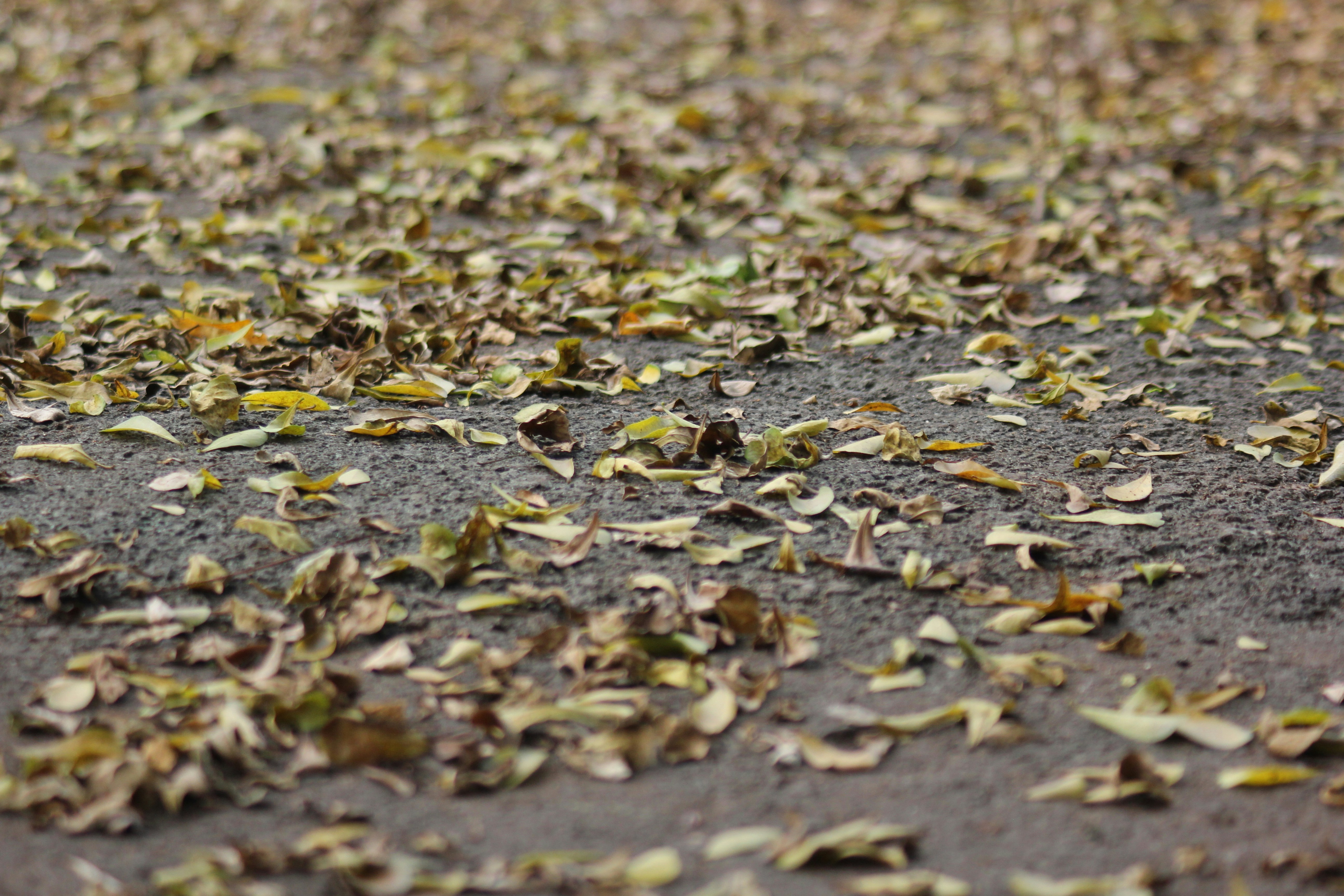 Photo by indografisdepok