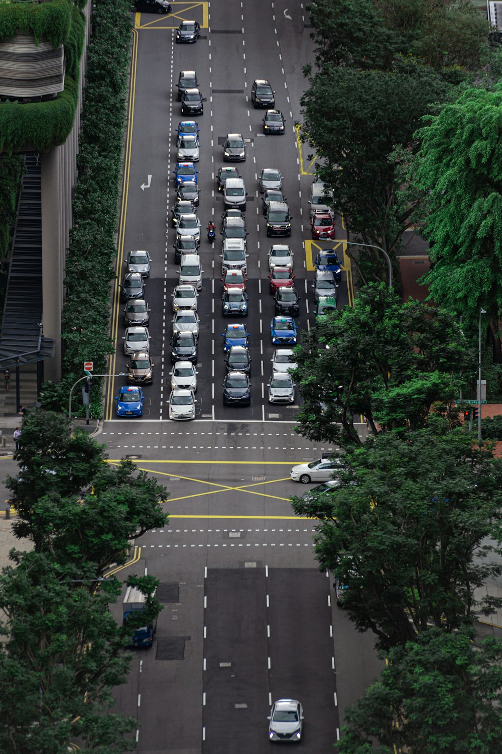 a street with cars on it