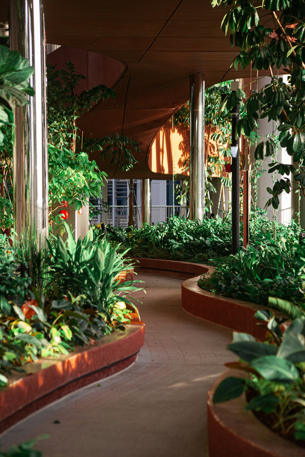 a walkway with plants and a building