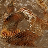 An example of a polished bronze tier digital design.