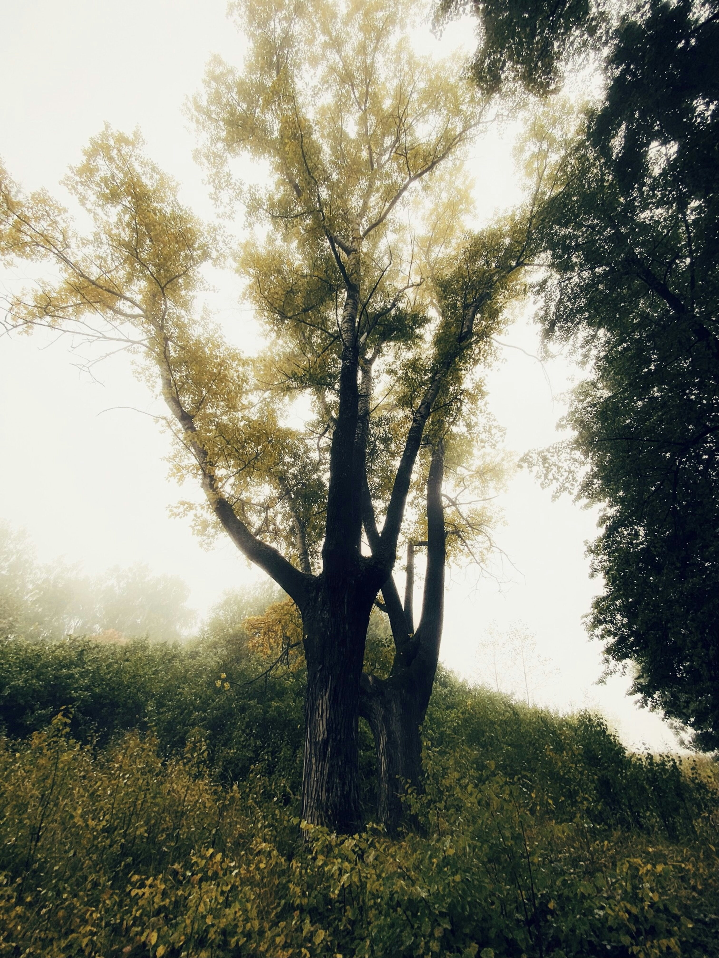 Photo by eugene_golovesov