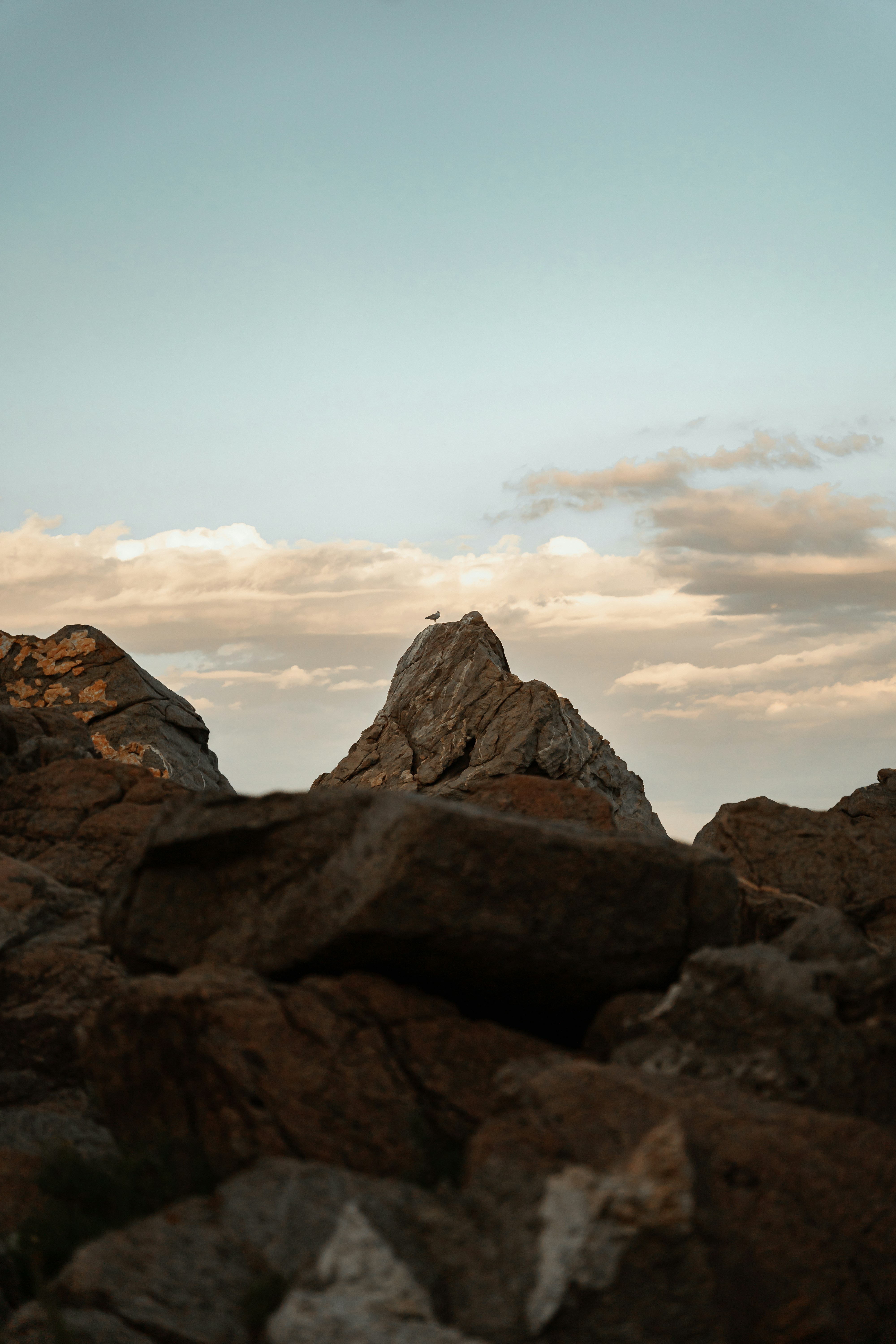 Photo by francesco_liotti