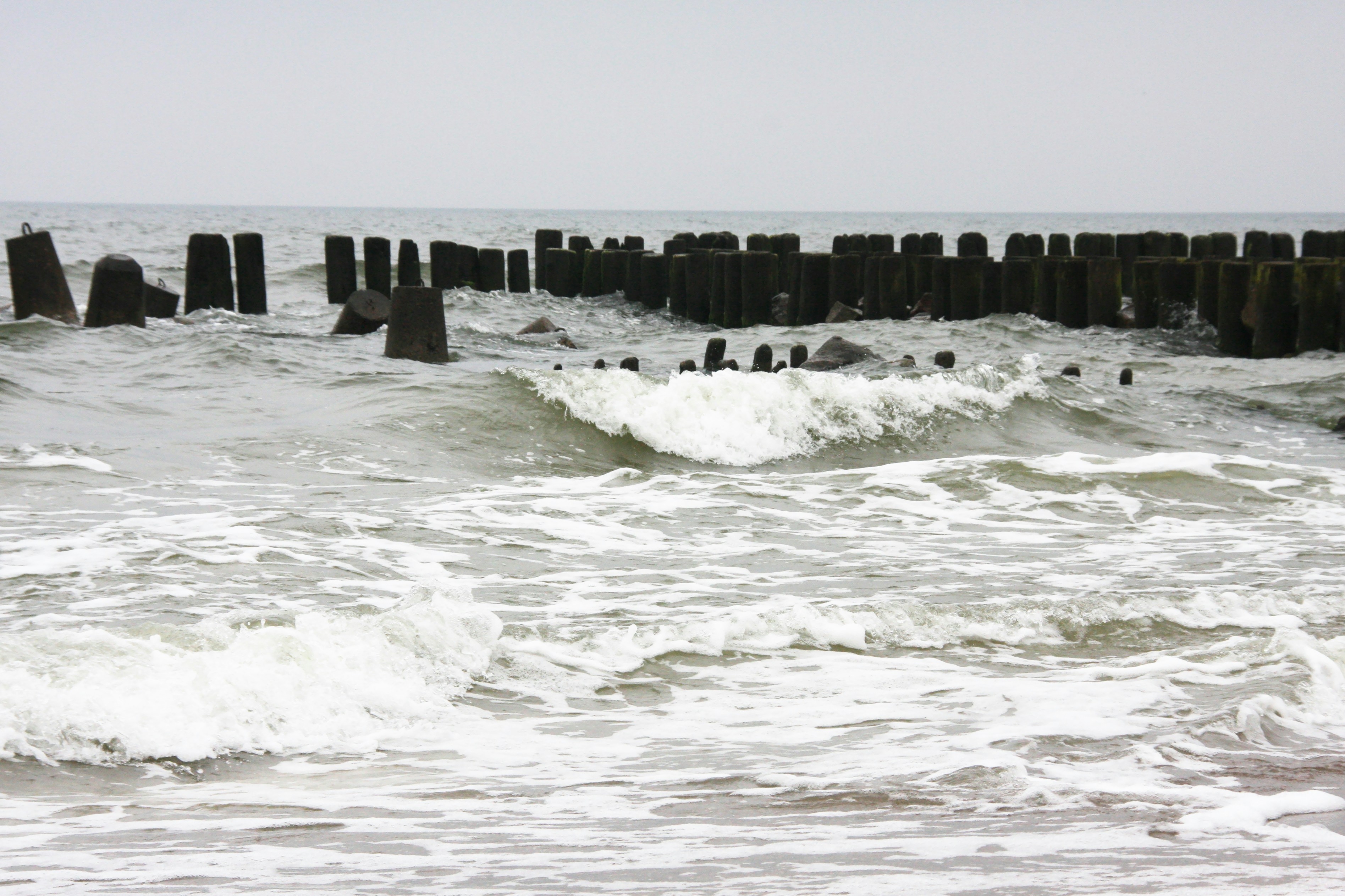 a group of people surfing in the ocean