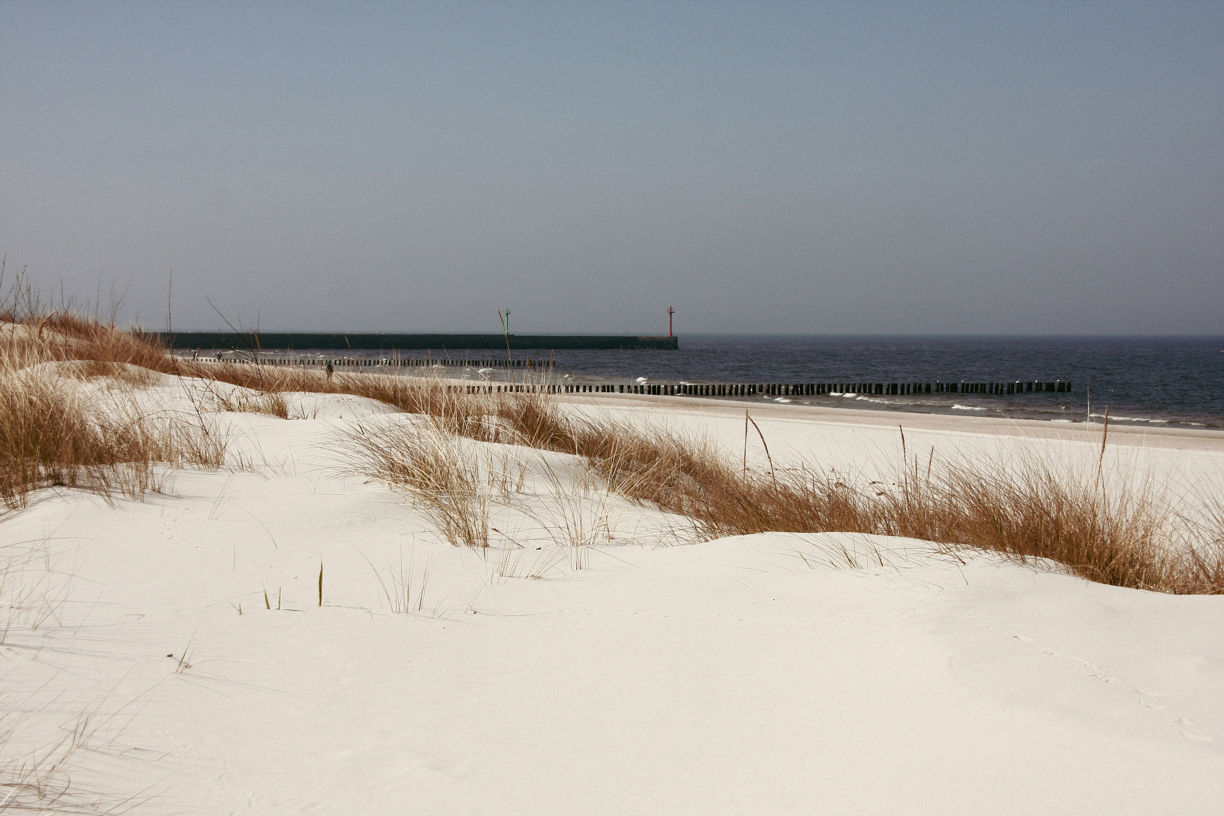 a snow covered field