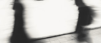 a person holding a laptop