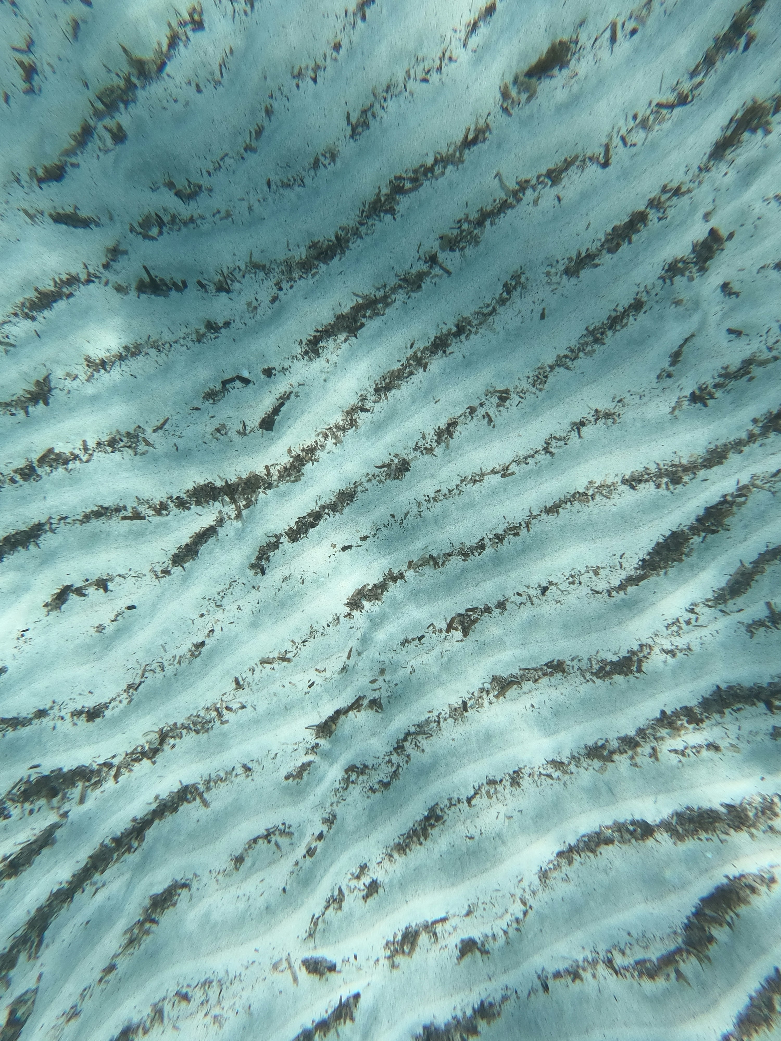 Why Networks Tend Toward Inequality