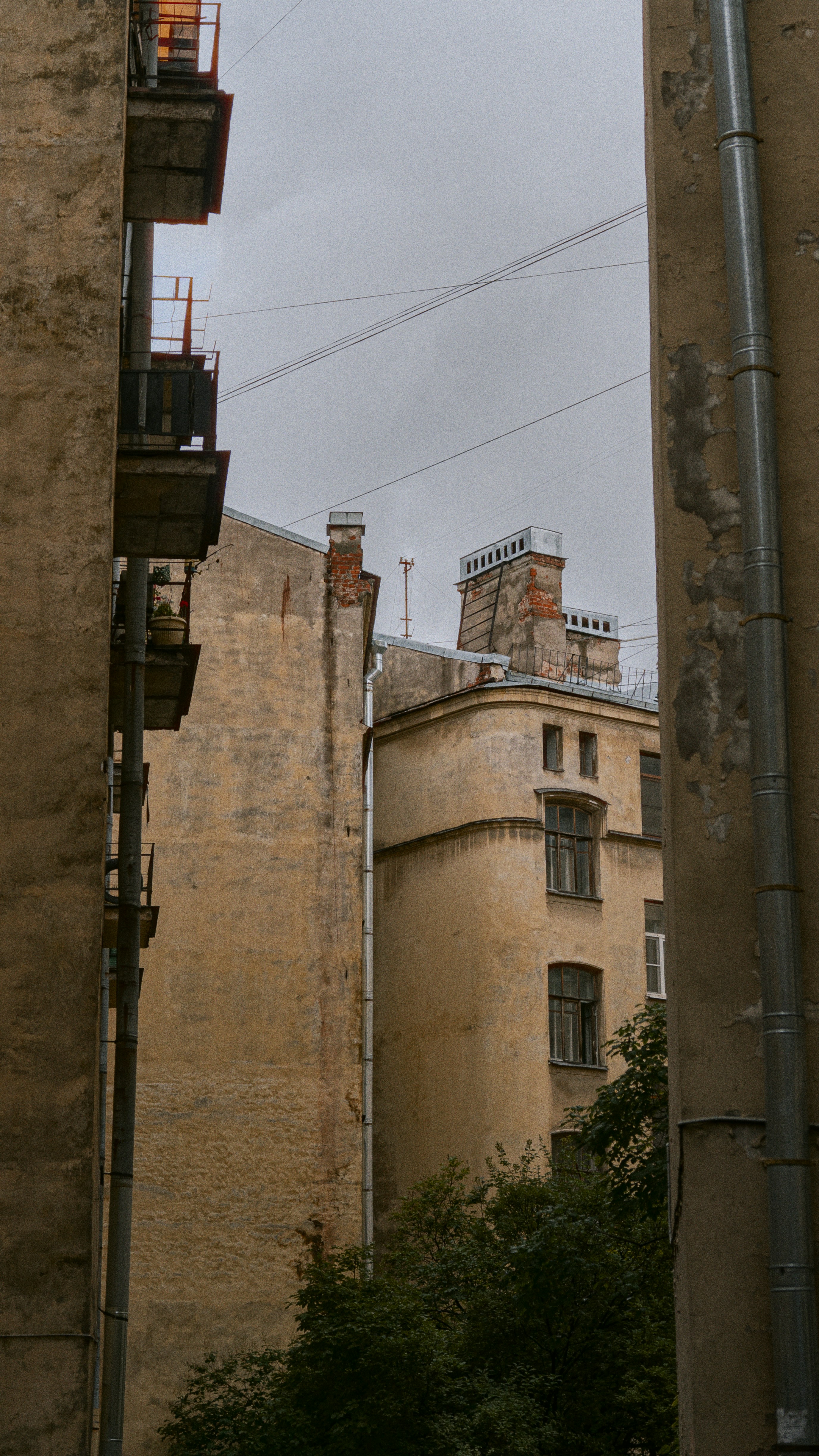 Un edificio con un árbol delante